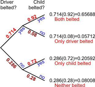 Tree Diagram for seat belt usage